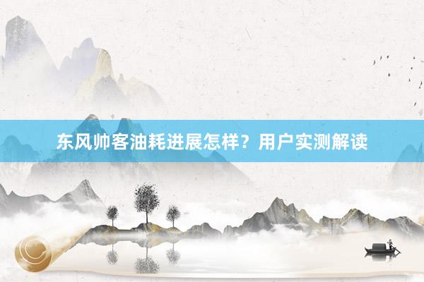 东风帅客油耗进展怎样？用户实测解读