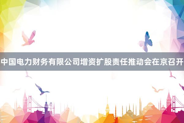 中国电力财务有限公司增资扩股责任推动会在京召开