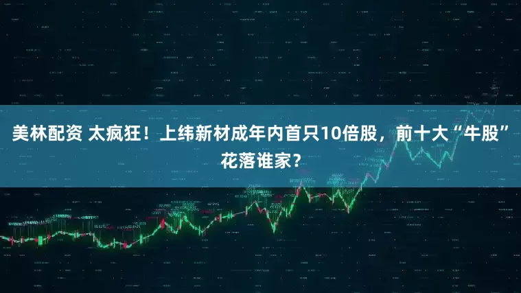 美林配资 太疯狂！上纬新材成年内首只10倍股，前十大“牛股”花落谁家？