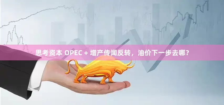 思考资本 OPEC + 增产传闻反转，油价下一步去哪？